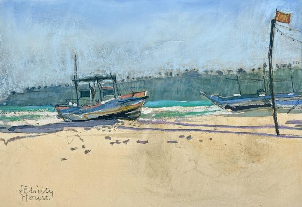 Beach Boats